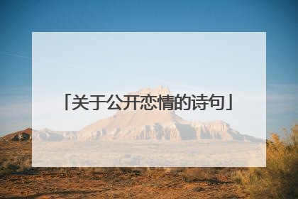 关于公开恋情的诗句