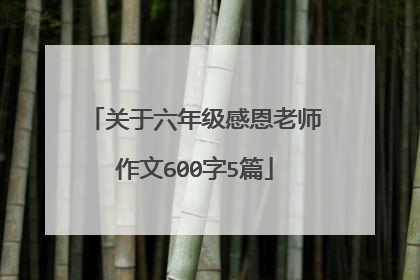 关于六年级感恩老师作文600字5篇