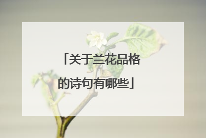 关于兰花品格的诗句有哪些