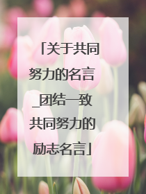 关于共同努力的名言_团结一致共同努力的励志名言