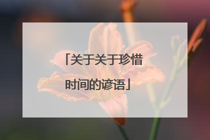 关于关于珍惜时间的谚语