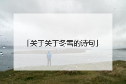 关于关于冬雪的诗句