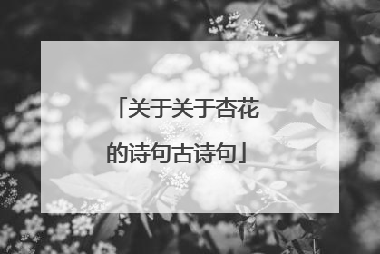 关于关于杏花的诗句古诗句