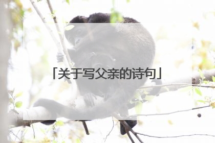 关于写父亲的诗句