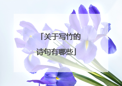 关于写竹的诗句有哪些