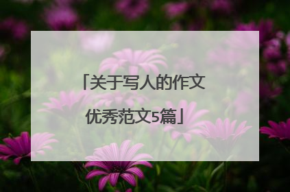 关于写人的作文优秀范文5篇