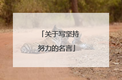 关于写坚持努力的名言