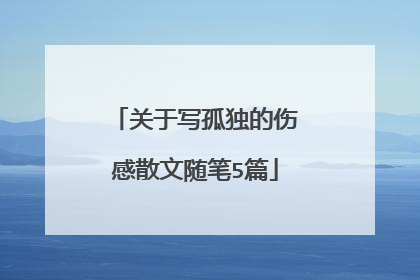 关于写孤独的伤感散文随笔5篇