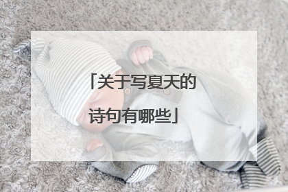 关于写夏天的诗句有哪些