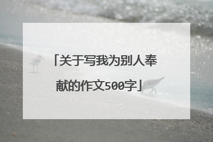 关于写我为别人奉献的作文500字