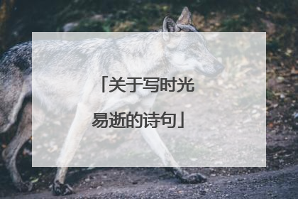 关于写时光易逝的诗句