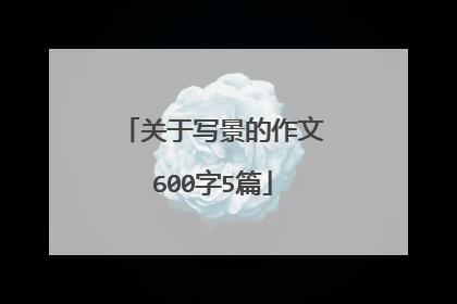 关于写景的作文600字5篇
