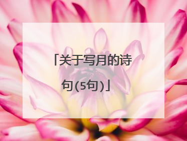 关于写月的诗句(5句)