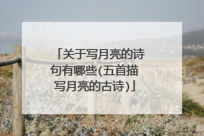 关于写月亮的诗句有哪些(五首描写月亮的古诗)