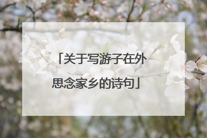 关于写游子在外思念家乡的诗句