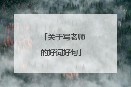 关于写老师的好词好句