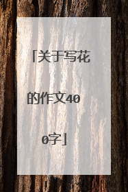关于写花的作文400字