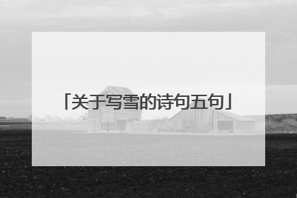 关于写雪的诗句五句