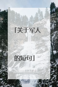 关于军人的短句