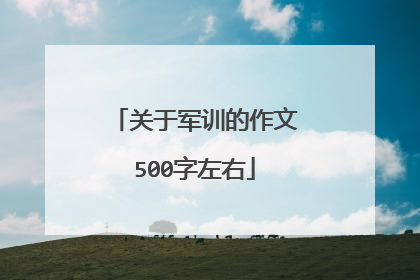 关于军训的作文500字左右