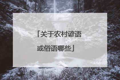 关于农村谚语或俗语哪些