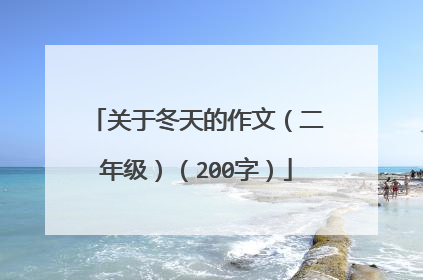 关于冬天的作文(二年级)(200字)