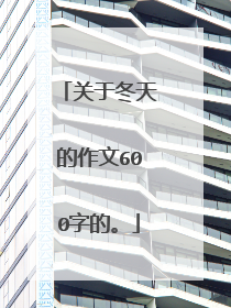 关于冬天的作文600字的。