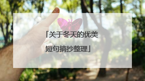 关于冬天的优美短句摘抄整理