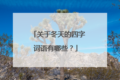 关于冬天的四字词语有哪些?