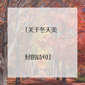 关于冬天美好的诗句