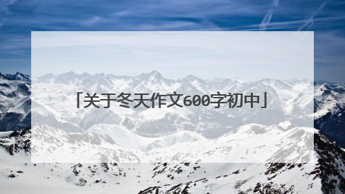 关于冬天作文600字初中