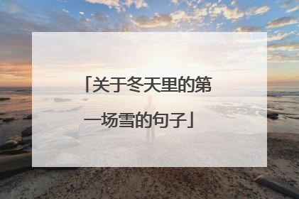 关于冬天里的第一场雪的句子
