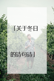 关于冬日的诗句诗