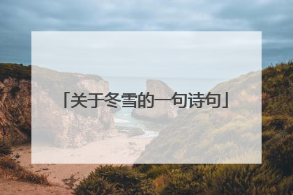 关于冬雪的一句诗句