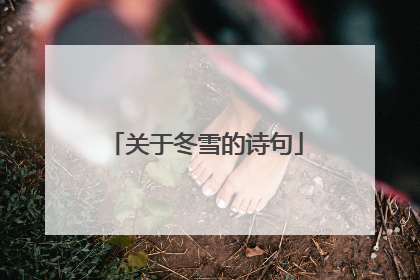 关于冬雪的诗句