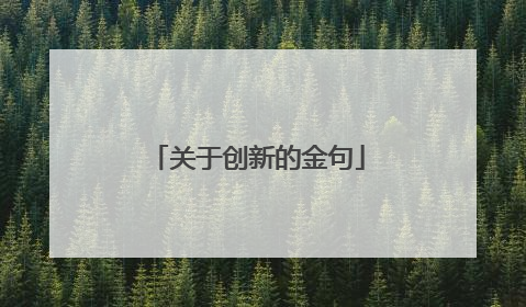 关于创新的金句