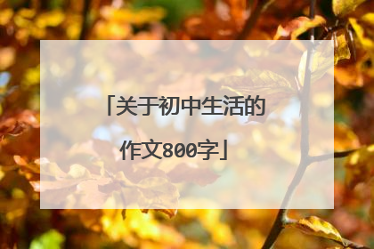 关于初中生活的作文800字