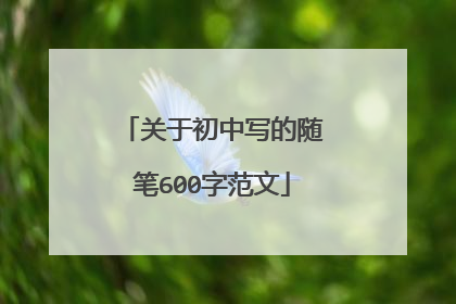 关于初中写的随笔600字范文