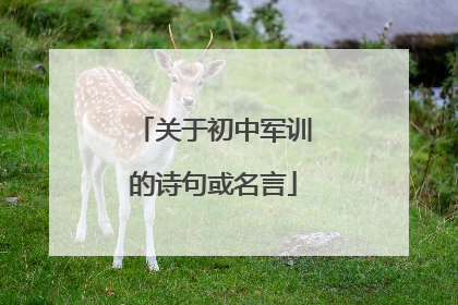 关于初中军训的诗句或名言