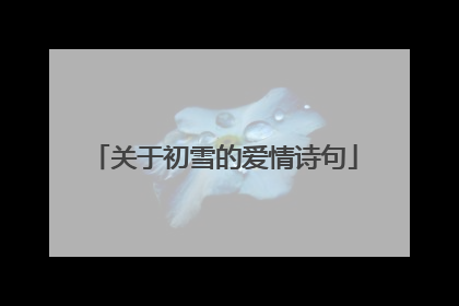 关于初雪的爱情诗句