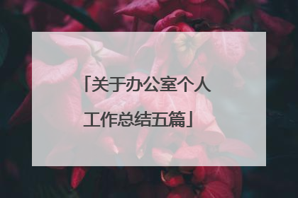 关于办公室个人工作总结五篇