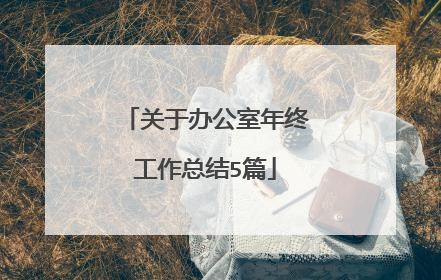 关于办公室年终工作总结5篇