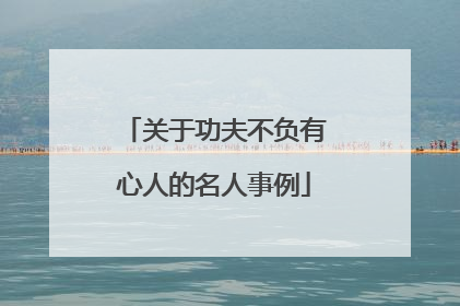 关于功夫不负有心人的名人事例