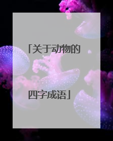 关于动物的四字成语