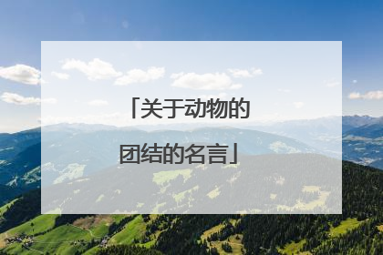 关于动物的团结的名言