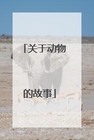 关于动物的故事