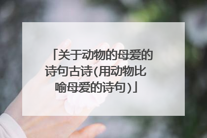 关于动物的母爱的诗句古诗(用动物比喻母爱的诗句)