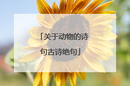 关于动物的诗句古诗绝句