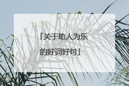 关于助人为乐的好词好句