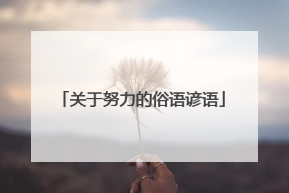 关于努力的俗语谚语